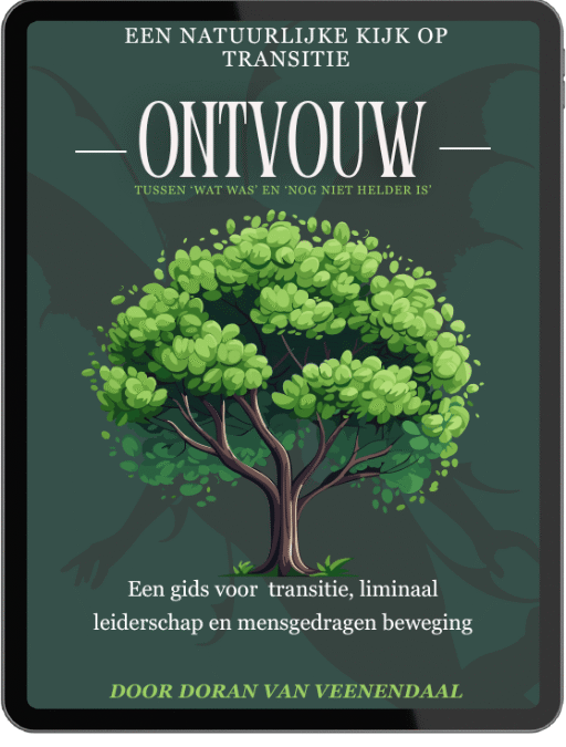 Hoe geef je ruimte aan het nieuwe als de betekenis nog niet helder is?