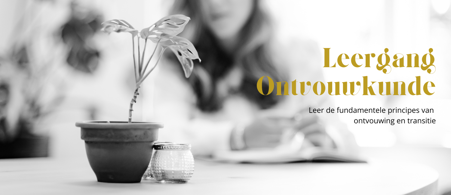 leergang ontvouwkunde header