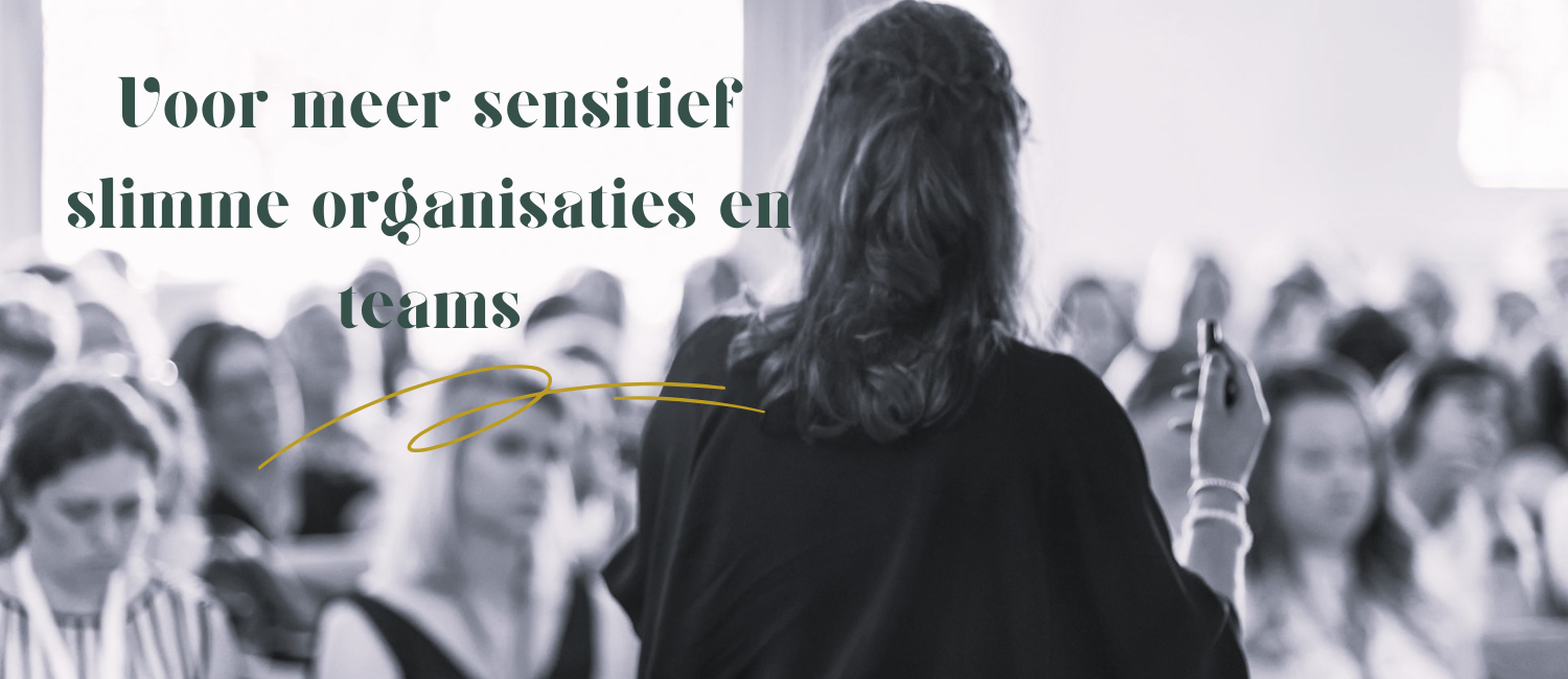 organisatie en teamtrajecten
